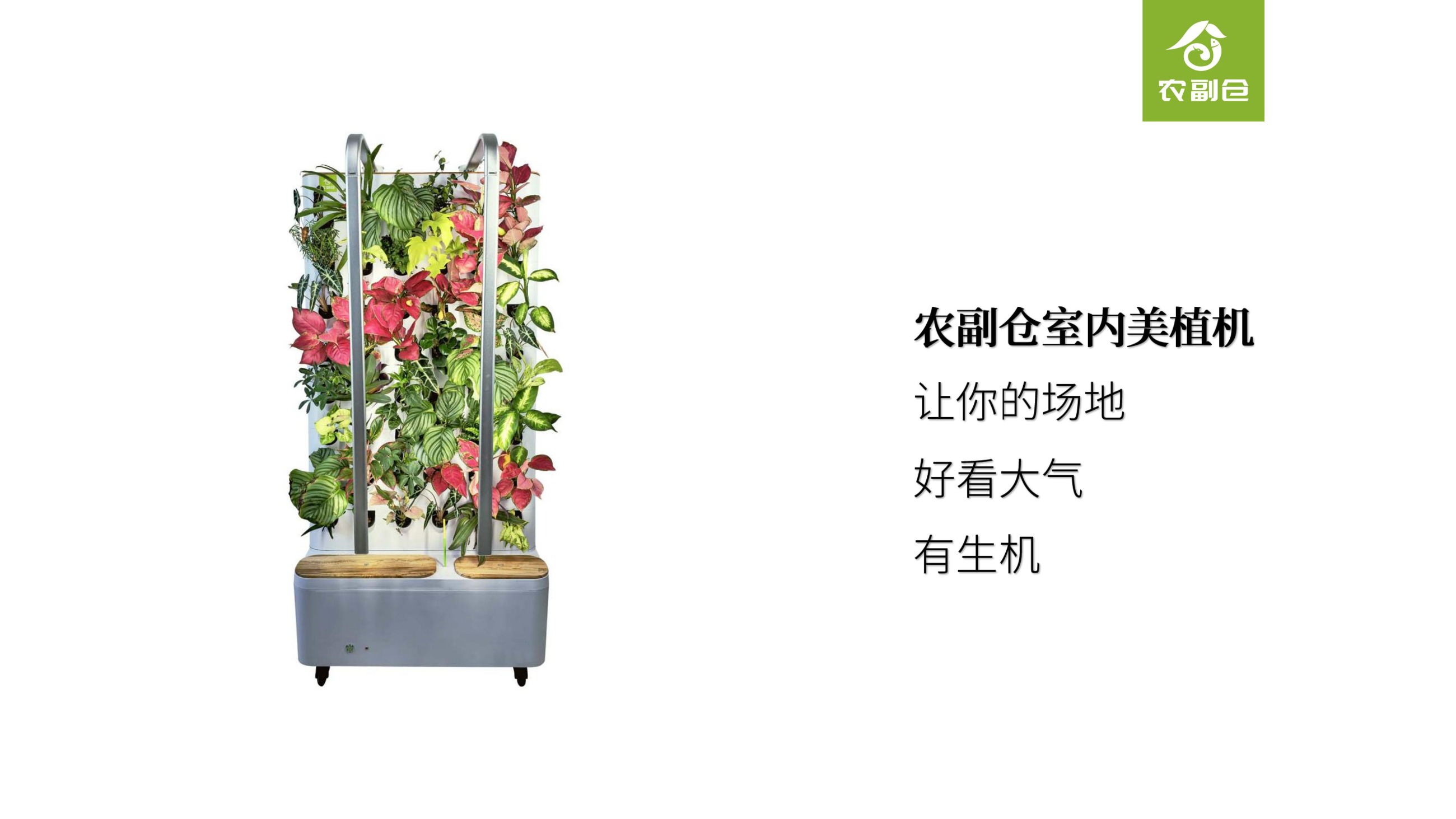 室内美植机