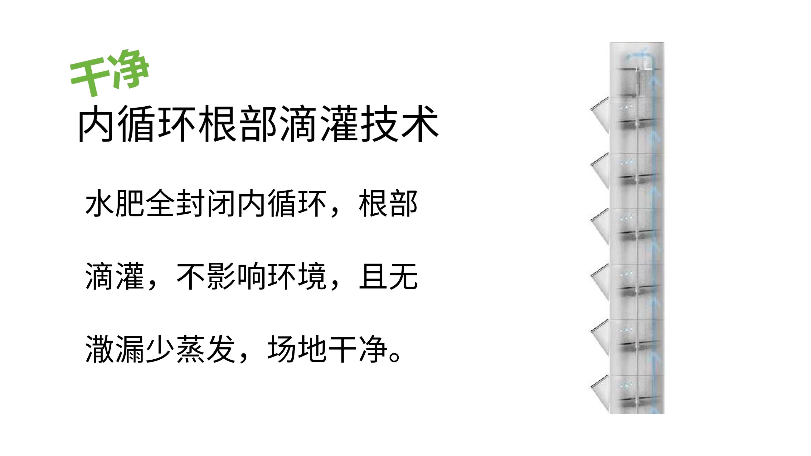 农副仓,无土栽培,室内种植,智能种植