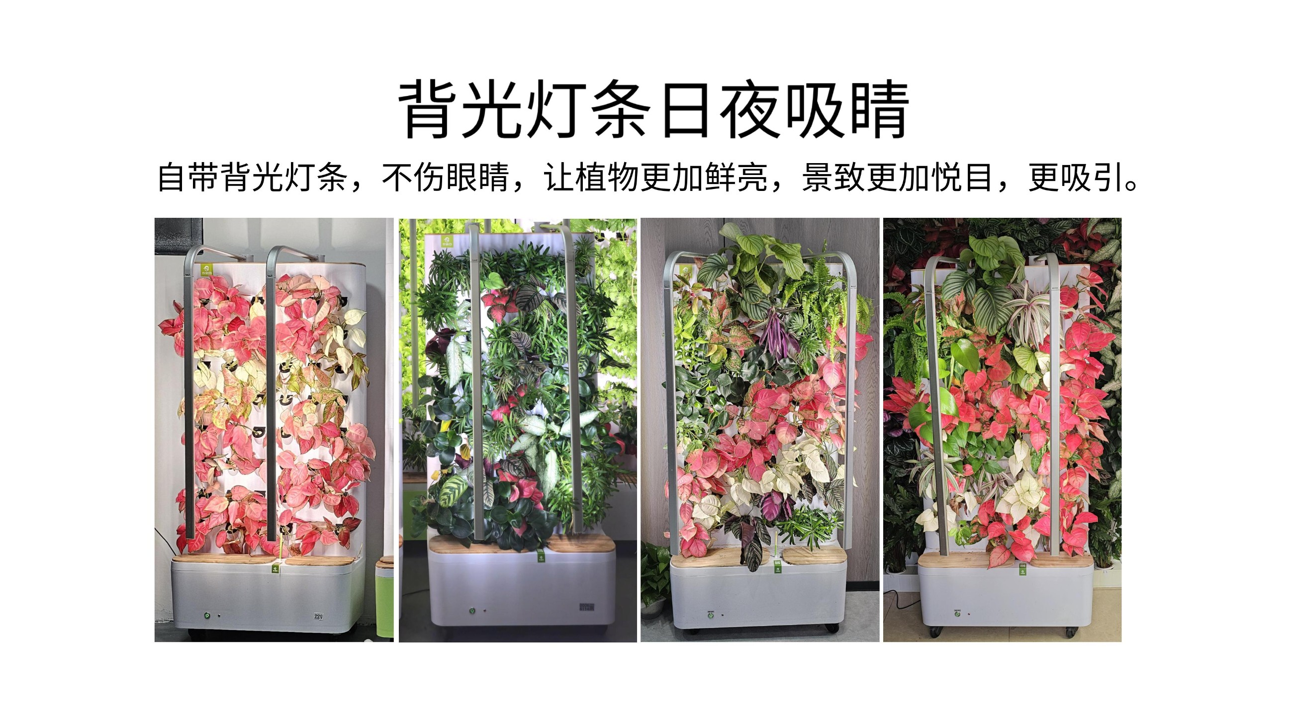 农副仓,无土栽培,室内种植,智能种植