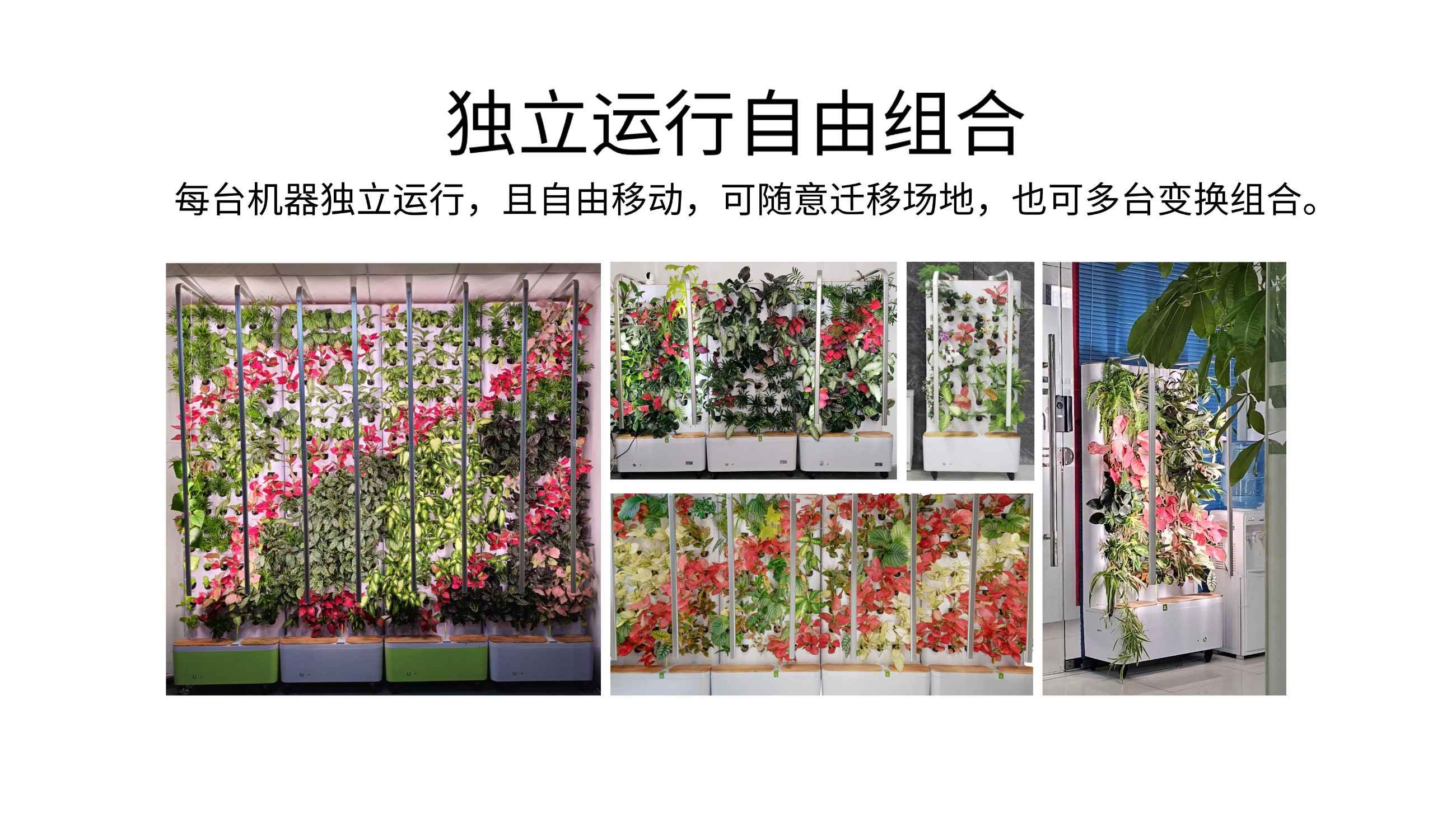 农副仓,无土栽培,室内种植,智能种植