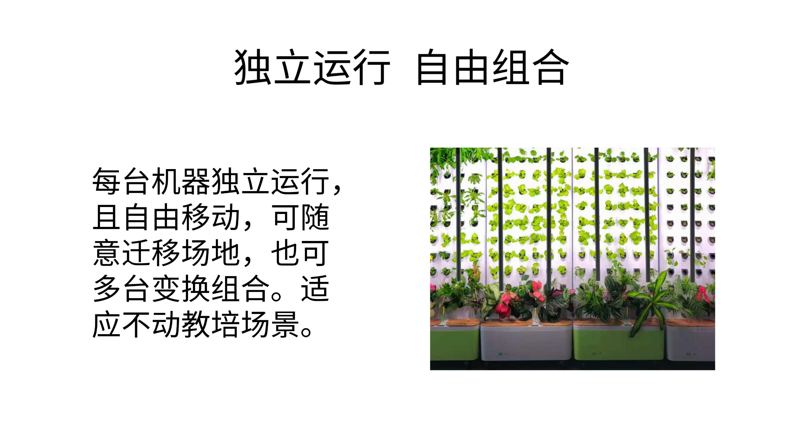 农副仓,无土栽培,室内种植,智能种植