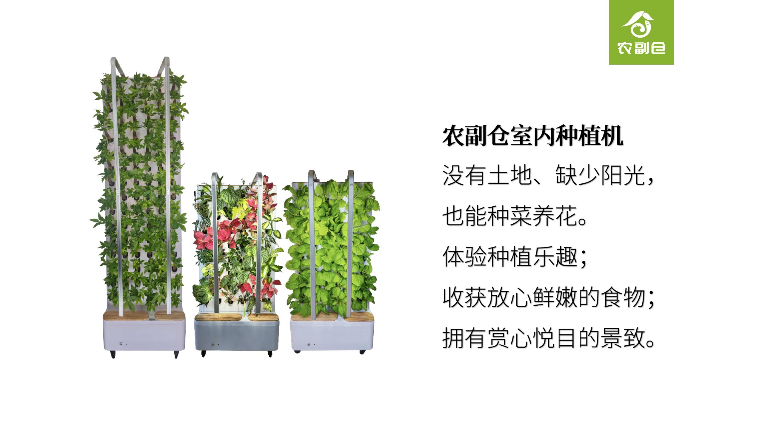 农副仓,无土栽培,室内种植,智能种植