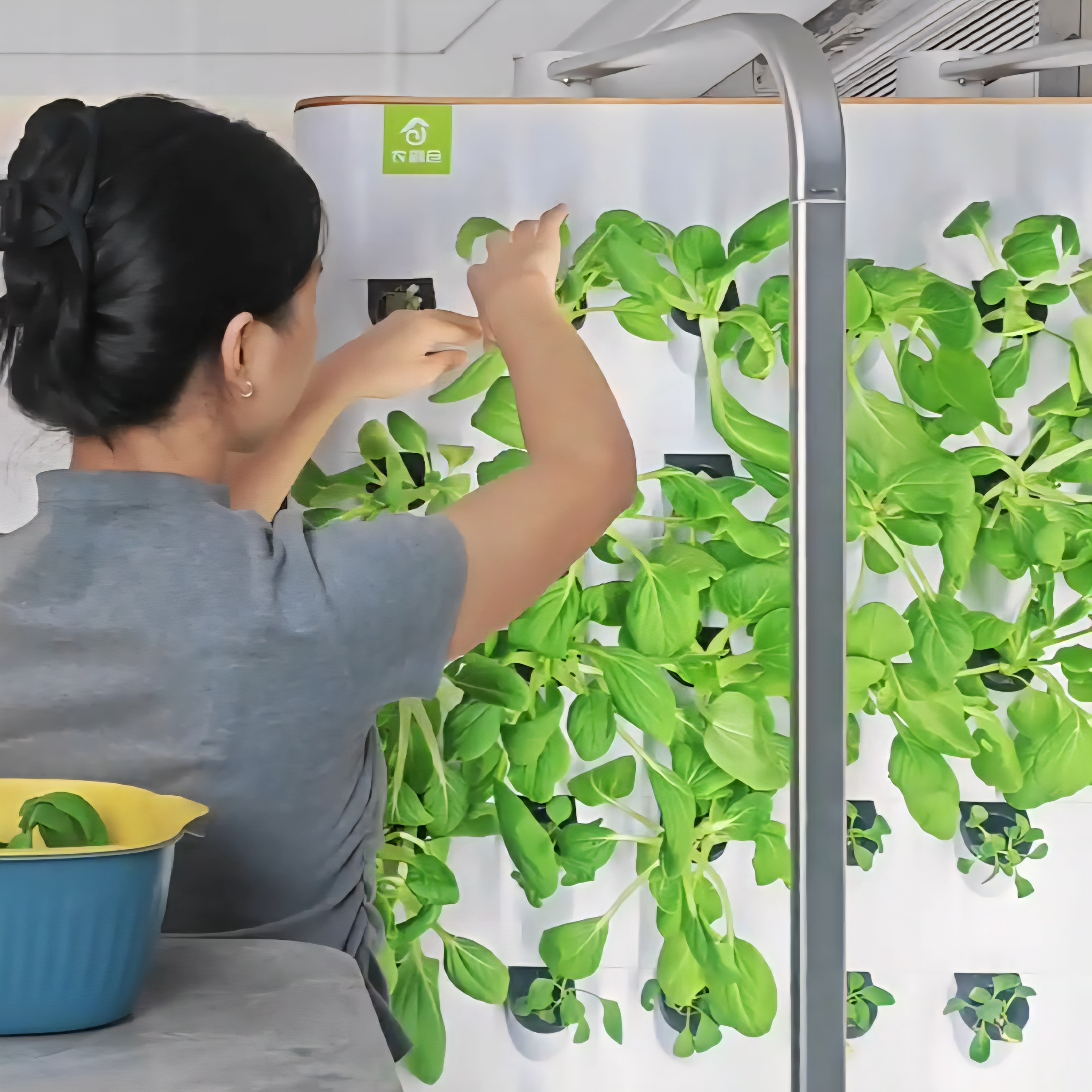 室内种植设备