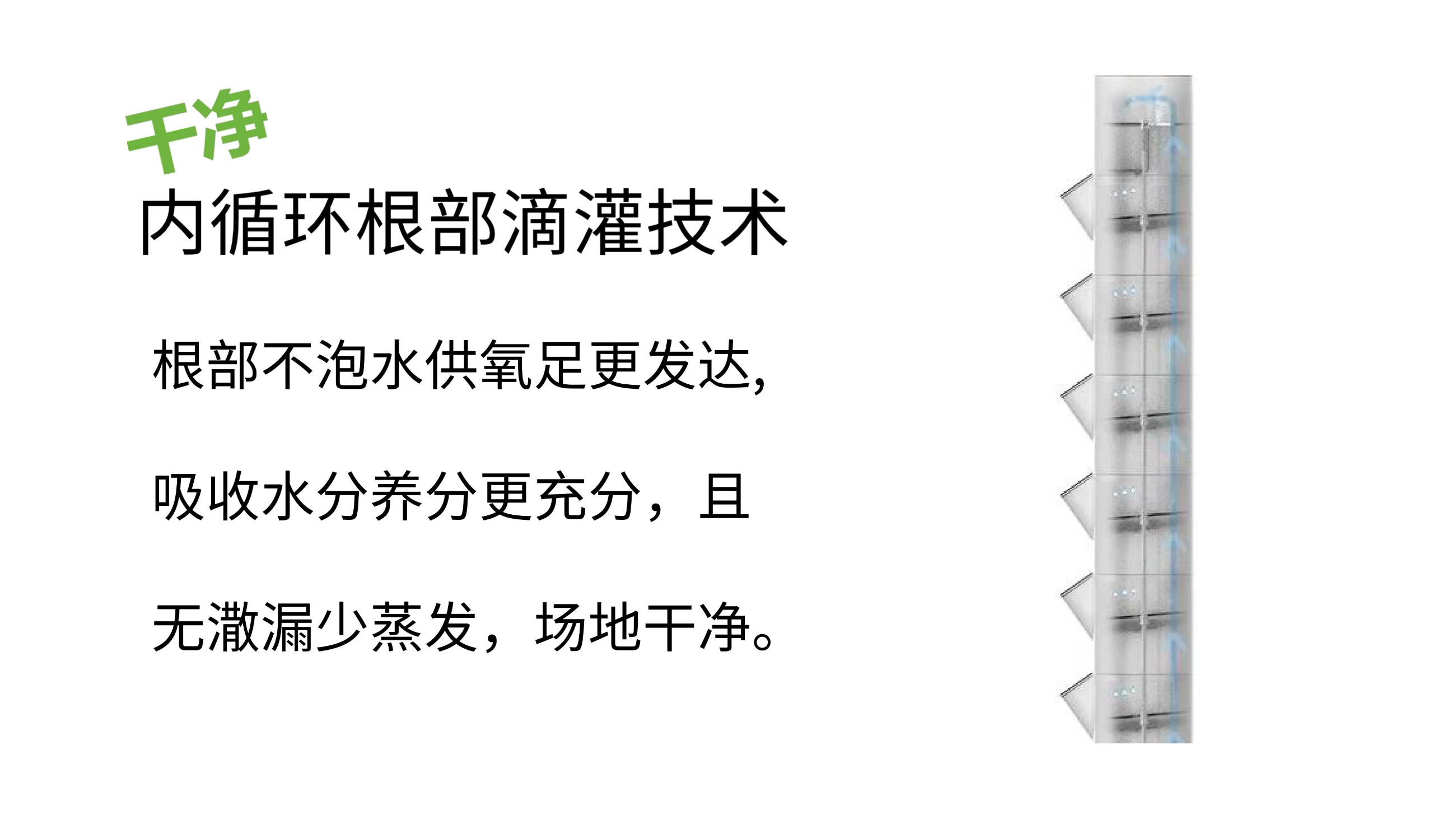 农副仓,无土栽培,室内种植,智能种植