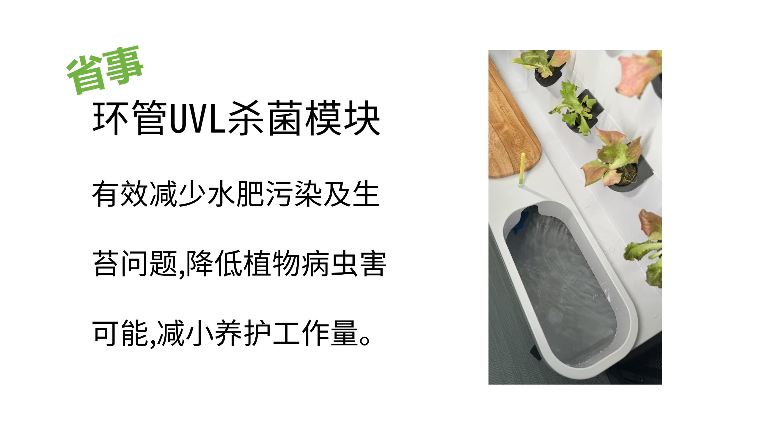 农副仓,无土栽培,室内种植,智能种植