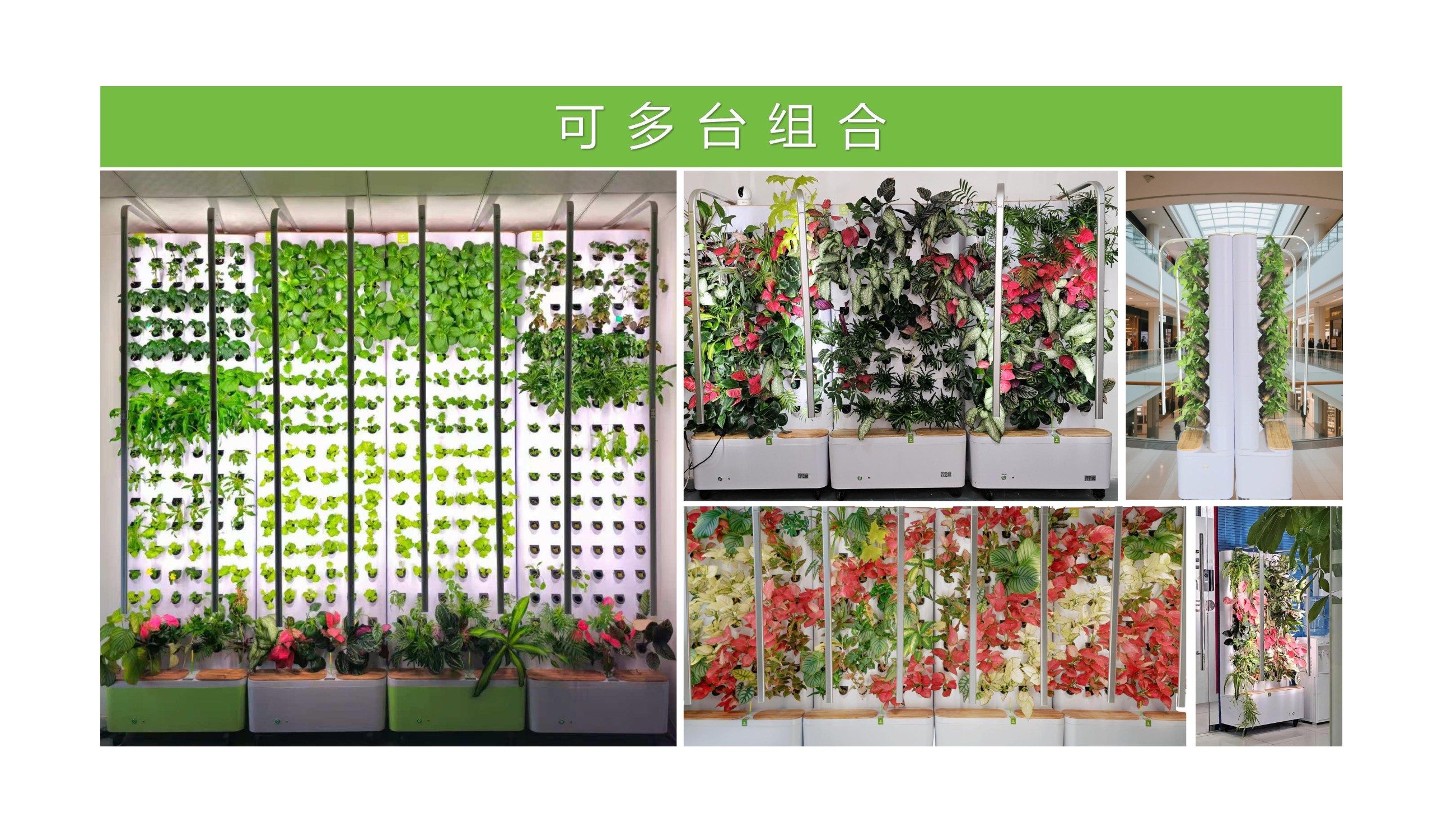 农副仓,无土栽培,室内种植,智能种植