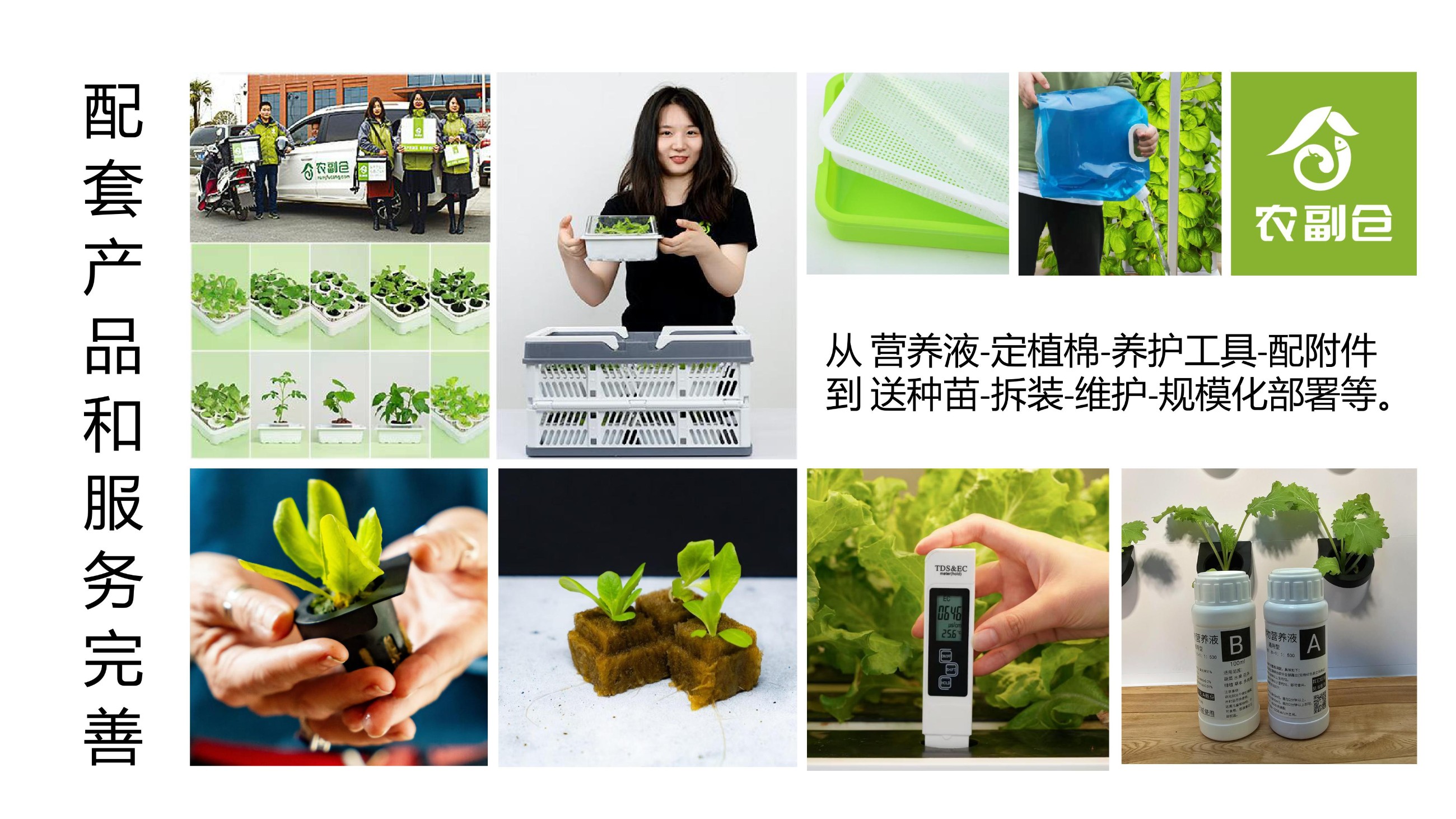 农副仓,无土栽培,室内种植,智能种植