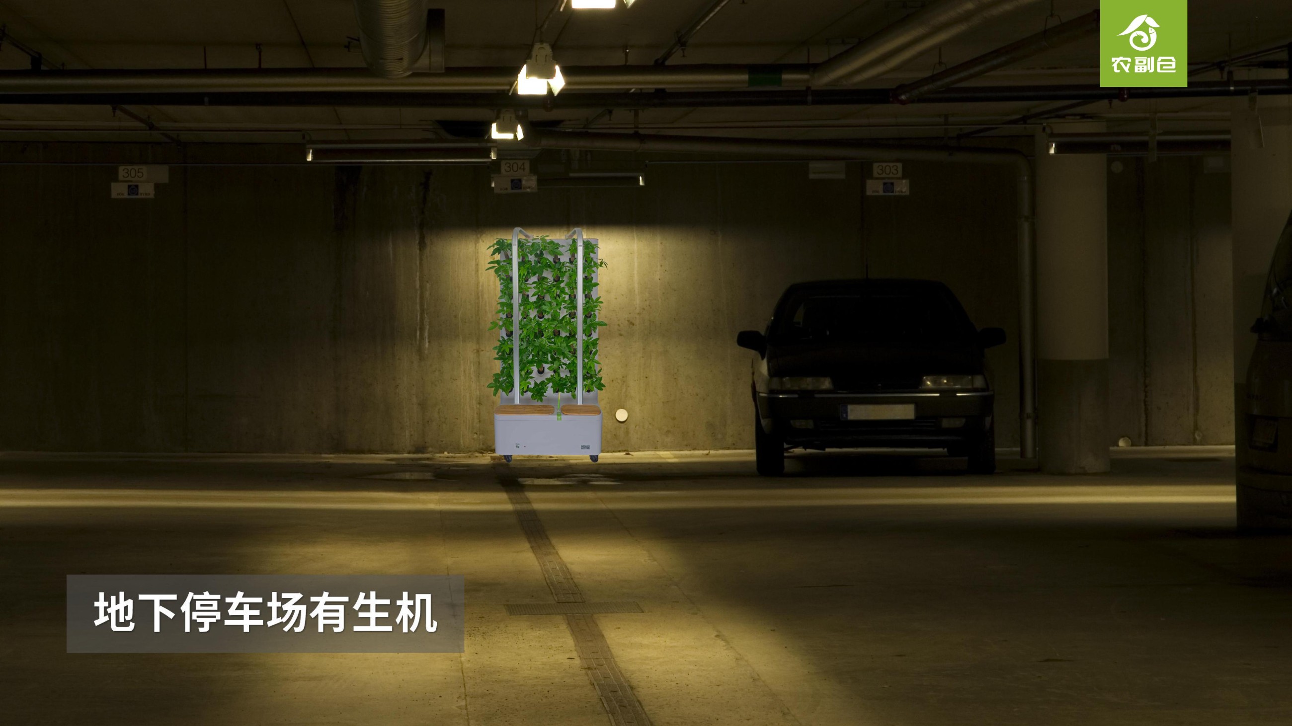 农副仓,无土栽培,室内种植,智能种植