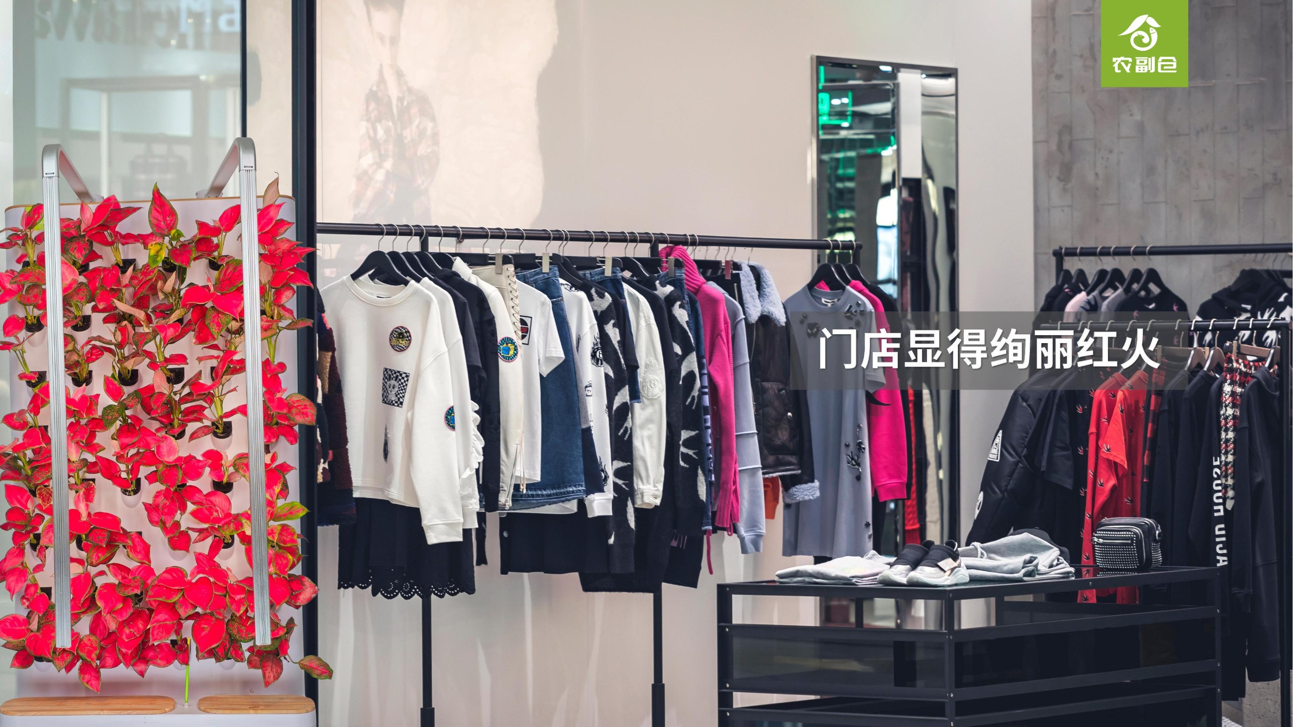 农副仓,无土栽培,室内种植,智能种植