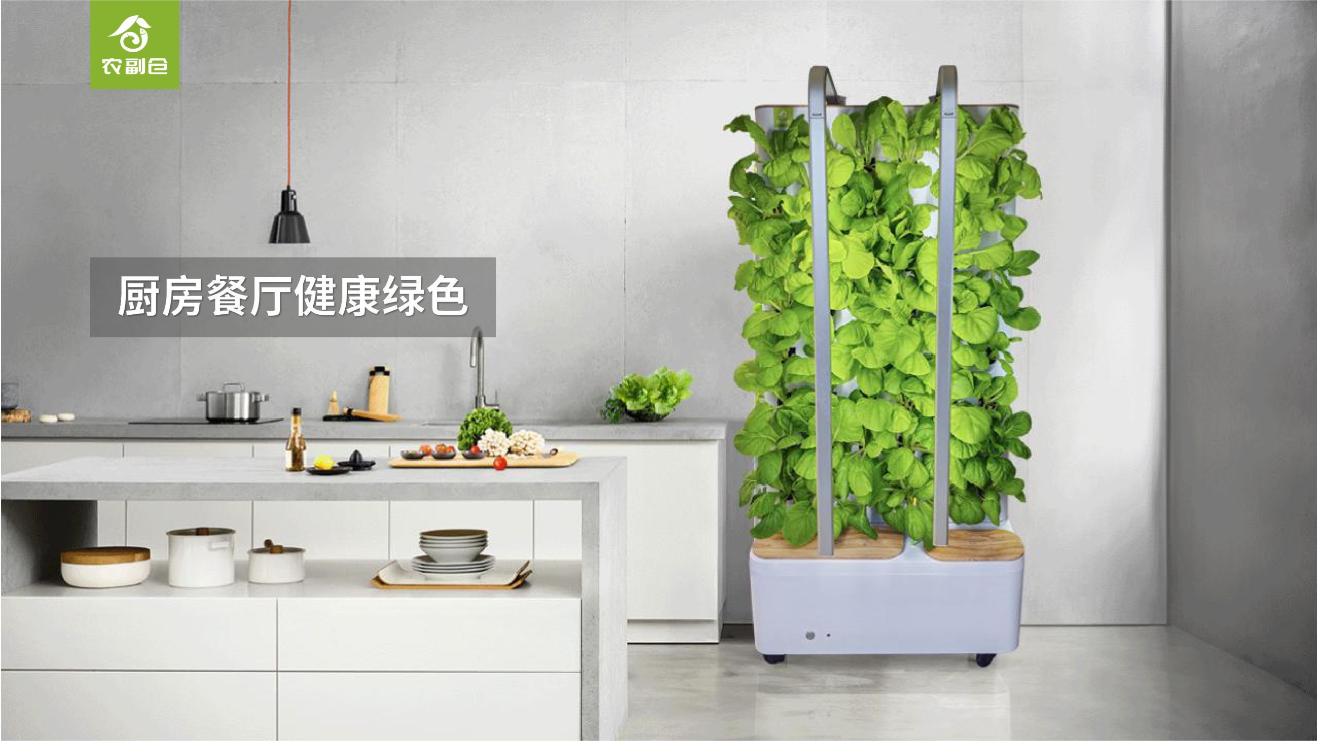 农副仓,无土栽培,室内种植,智能种植