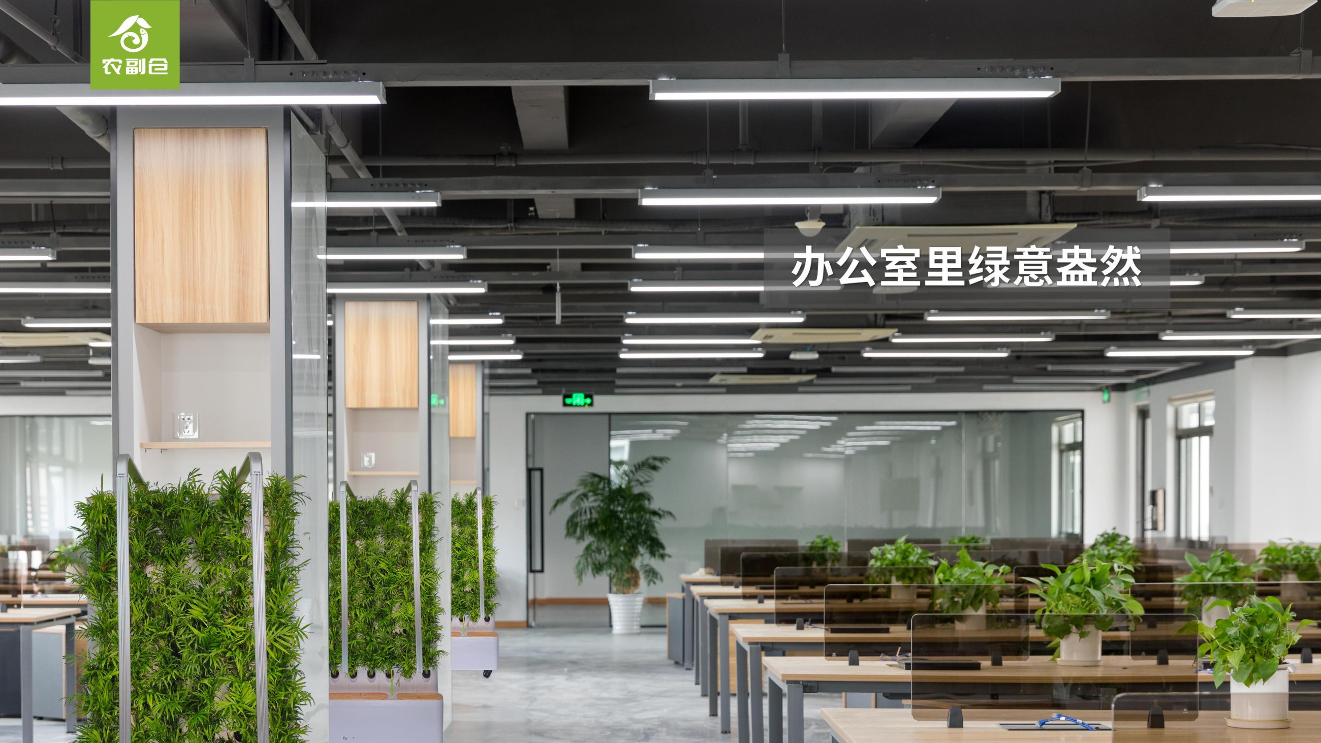 农副仓,无土栽培,室内种植,智能种植