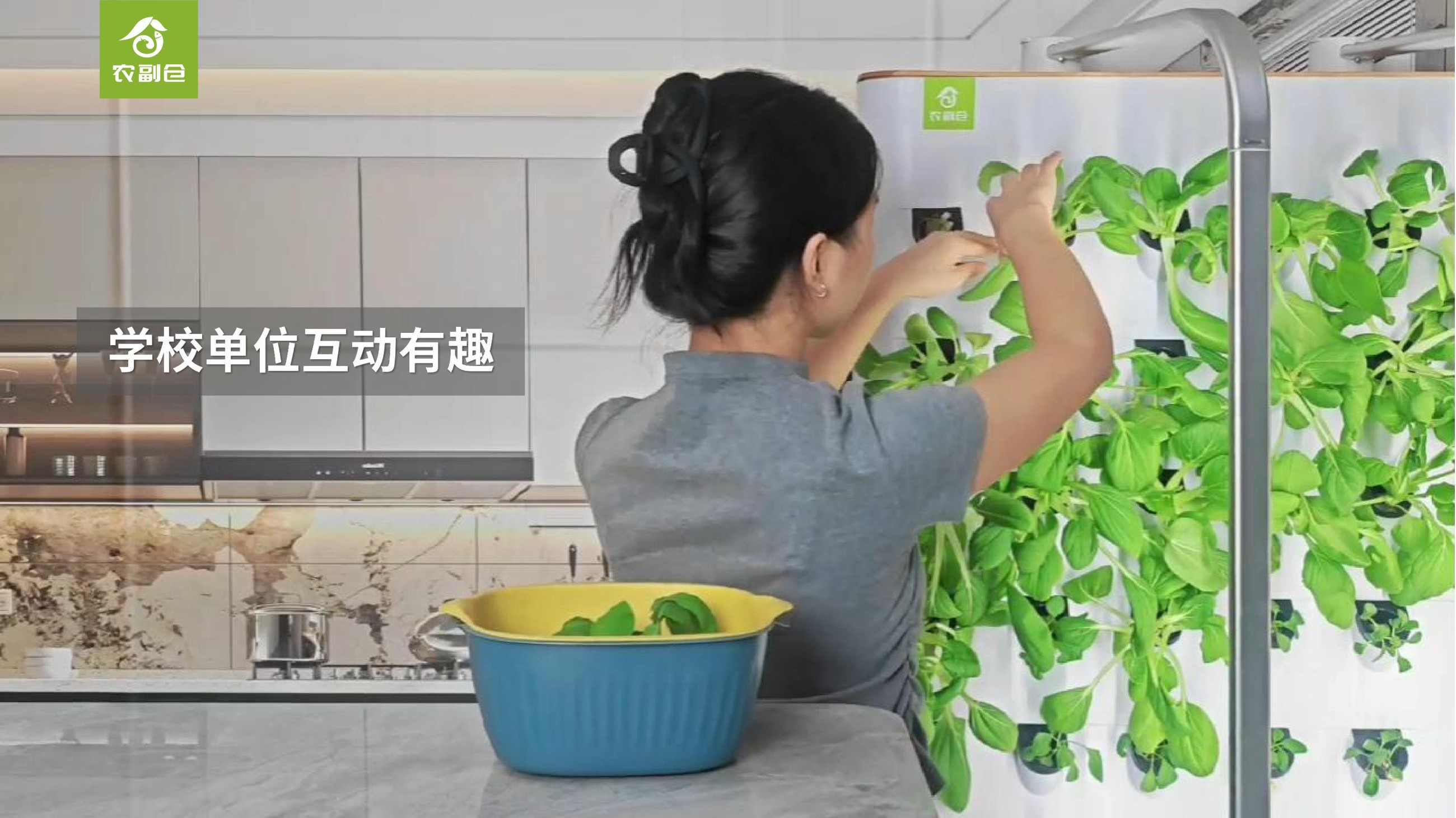 农副仓,无土栽培,室内种植,智能种植