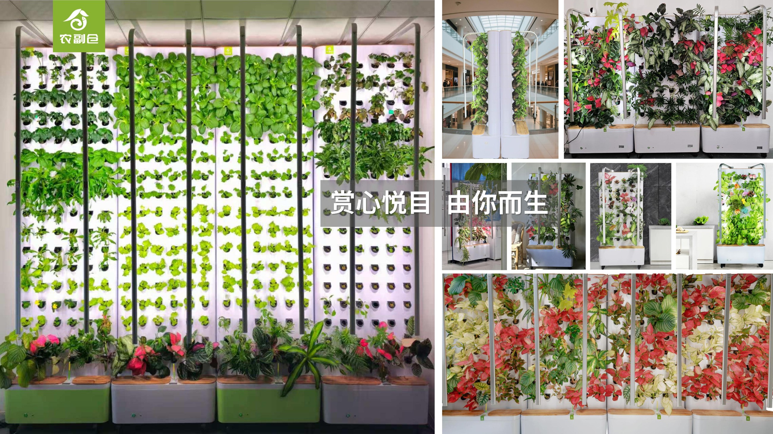 农副仓,无土栽培,室内种植,智能种植