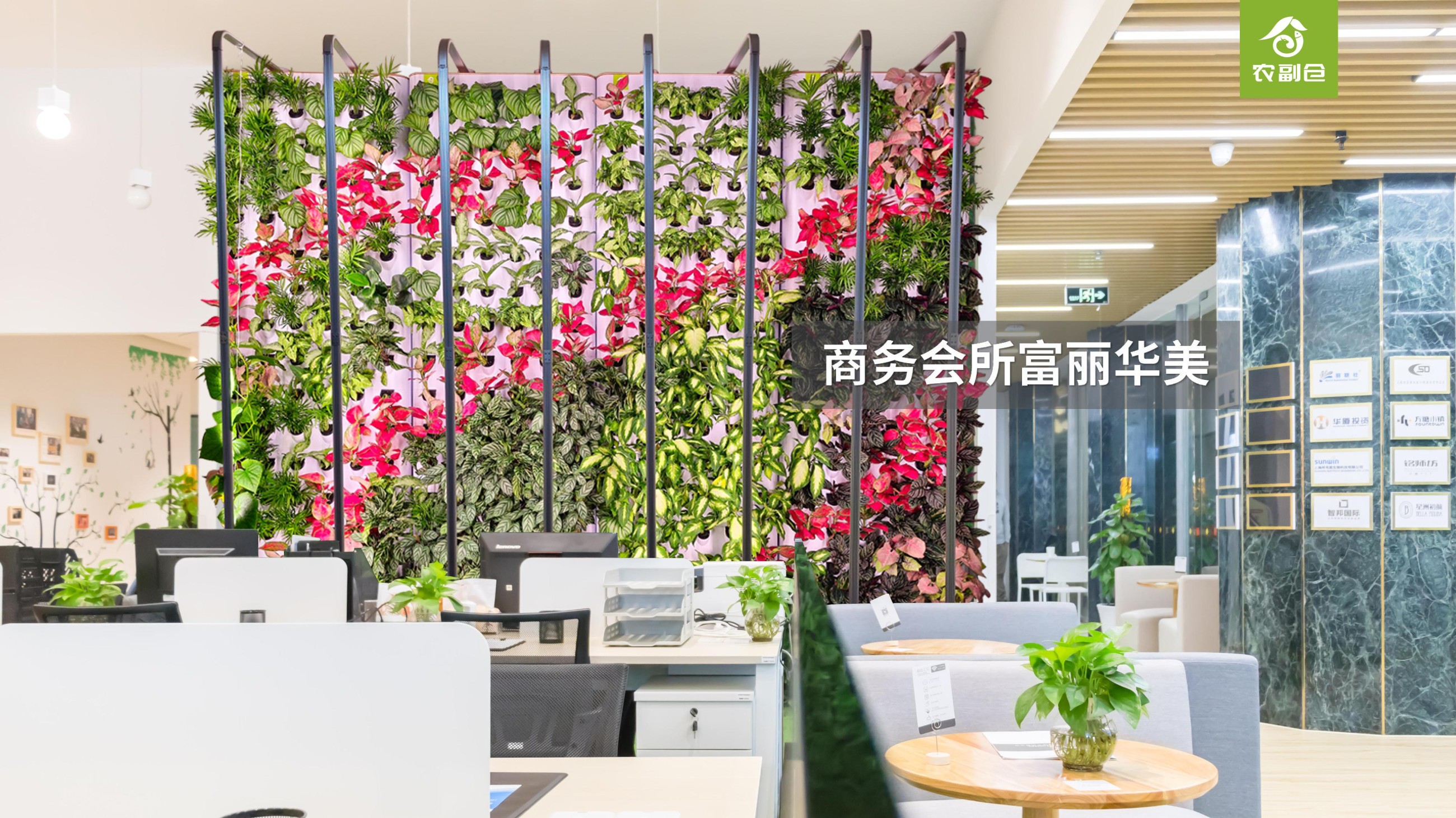 农副仓,无土栽培,室内种植,智能种植