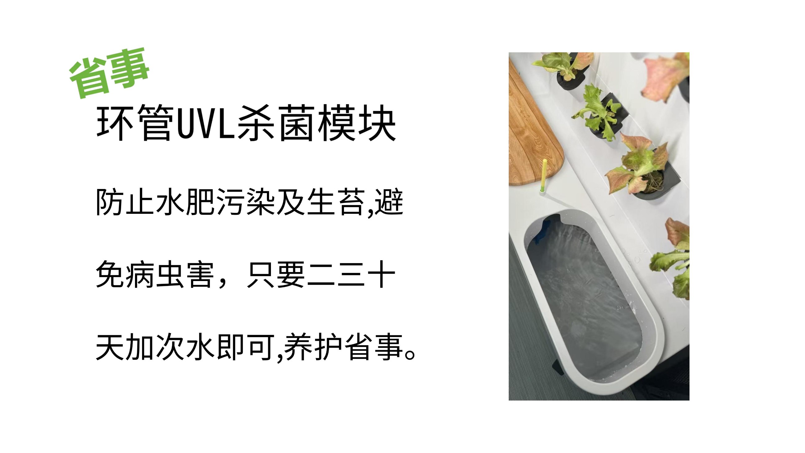 农副仓,无土栽培,室内种植,智能种植