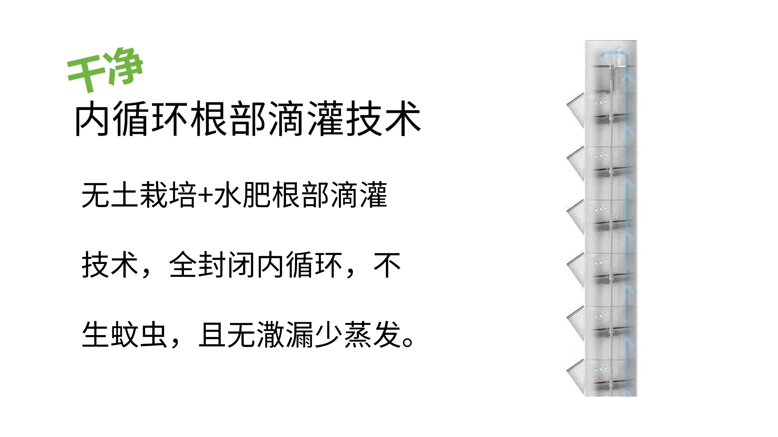 农副仓,无土栽培,室内种植,智能种植