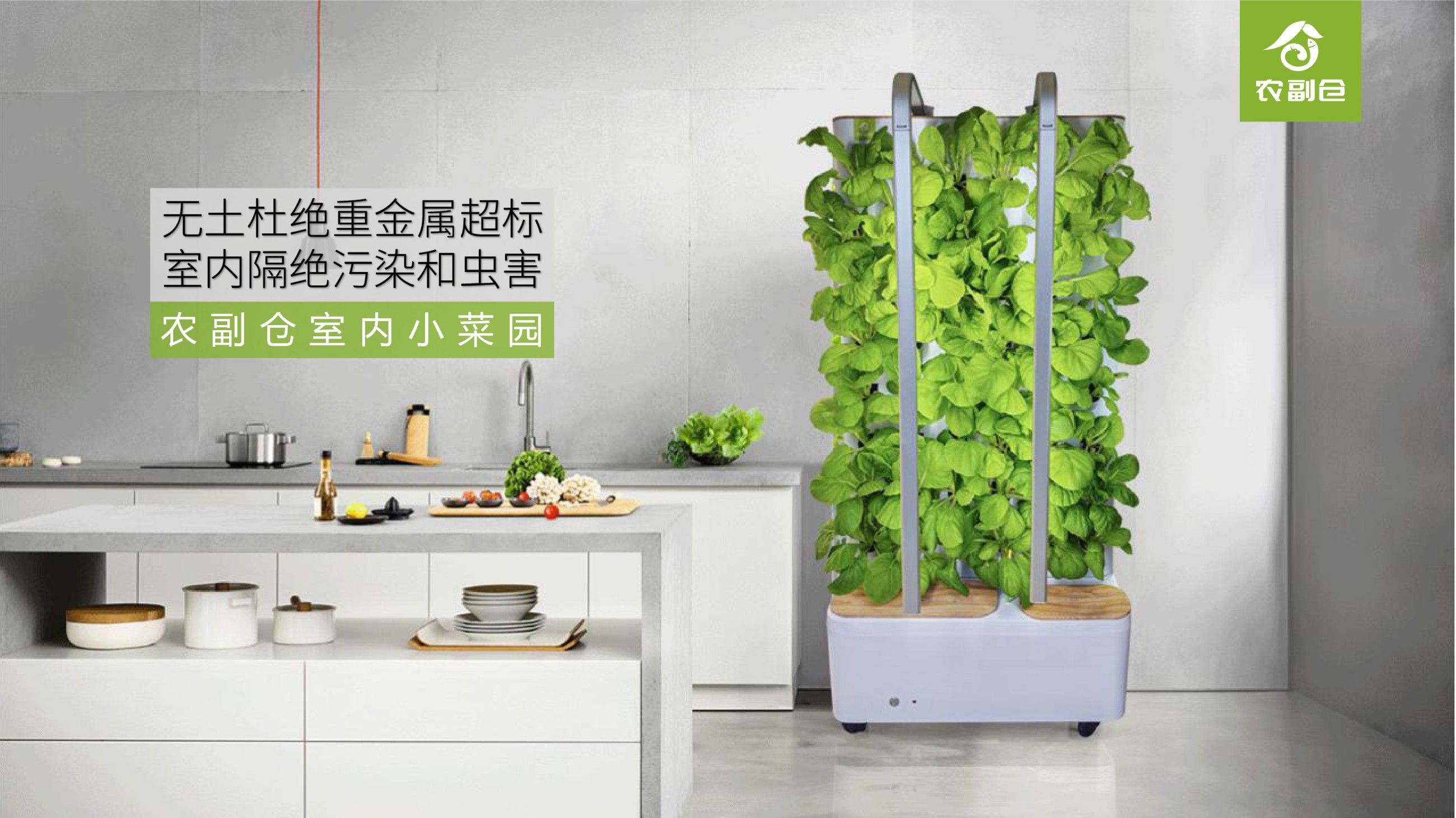 农副仓,无土栽培,室内种植,智能种植