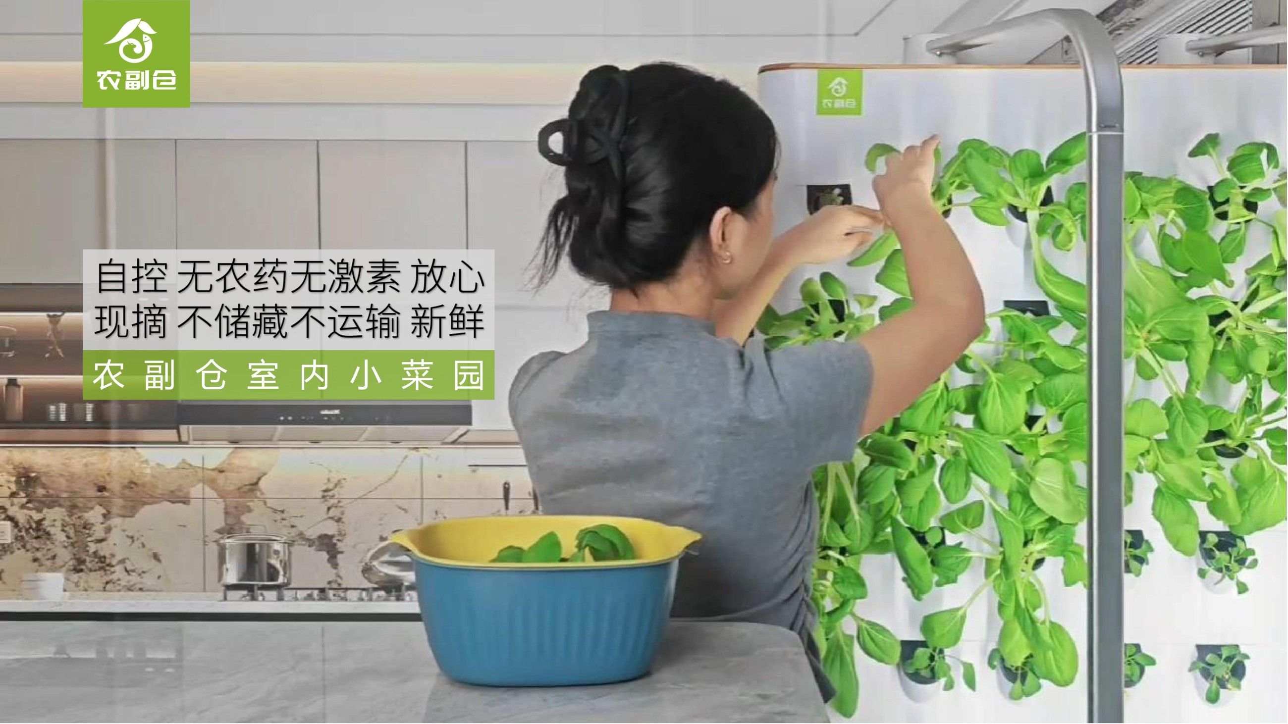 农副仓,无土栽培,室内种植,智能种植