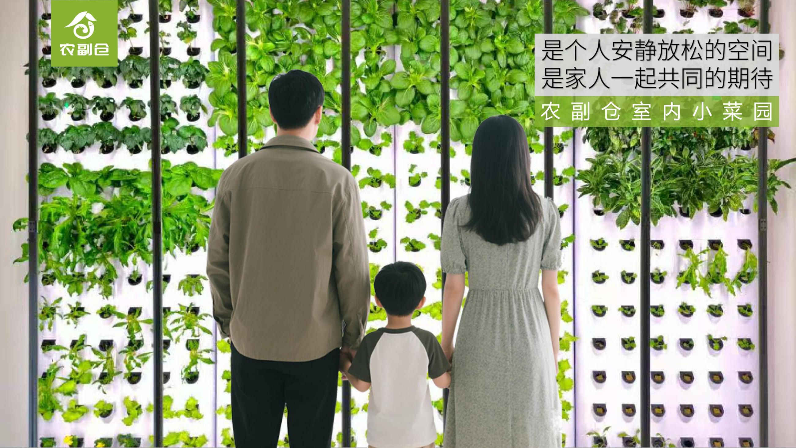 农副仓,无土栽培,室内种植,智能种植