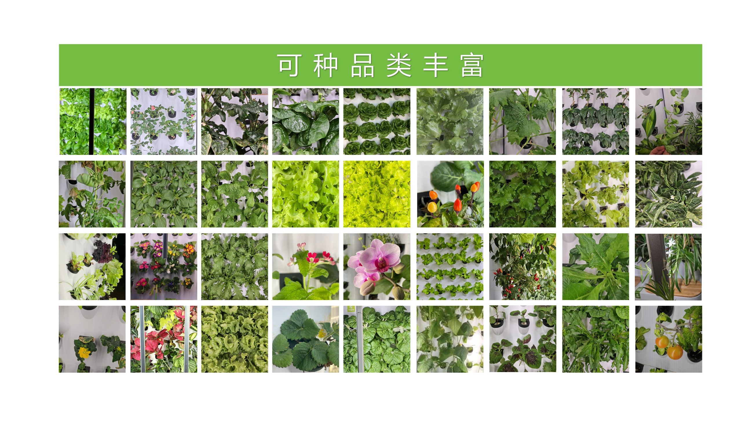 农副仓,无土栽培,室内种植,智能种植