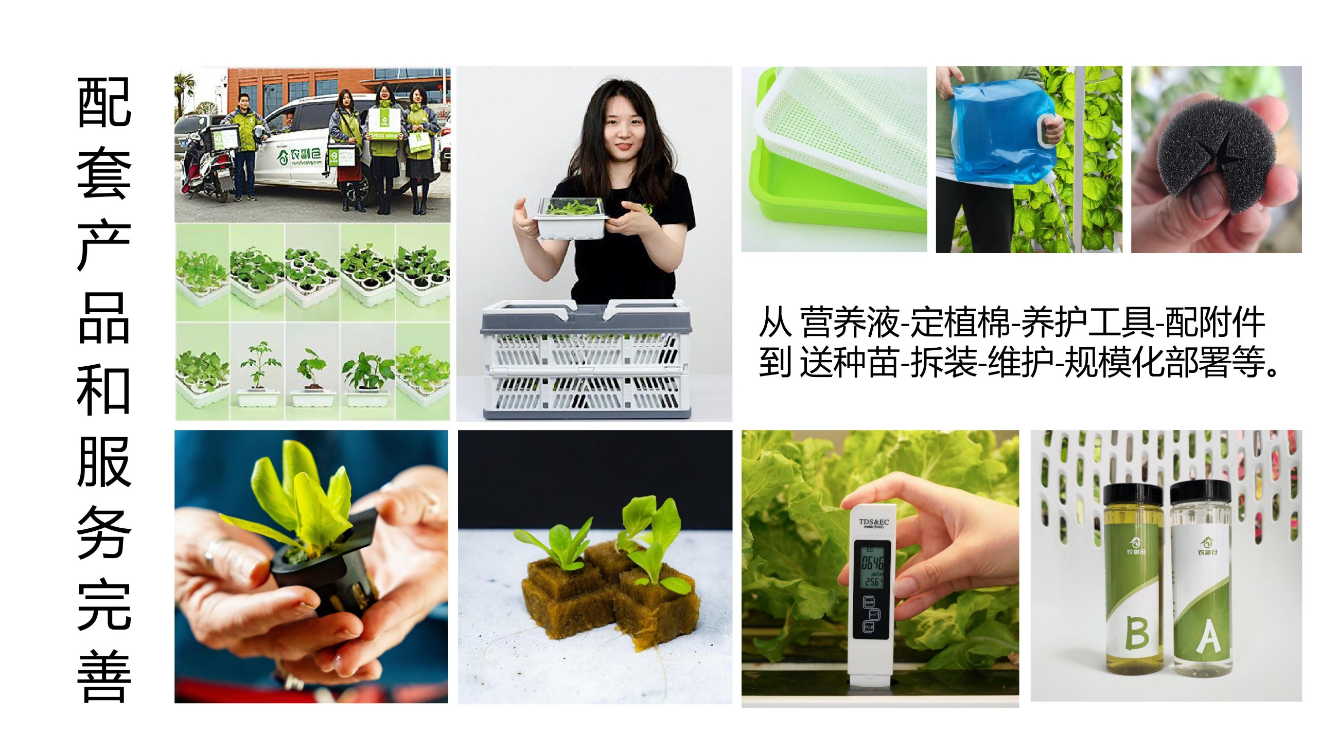 农副仓,无土栽培,室内种植,智能种植