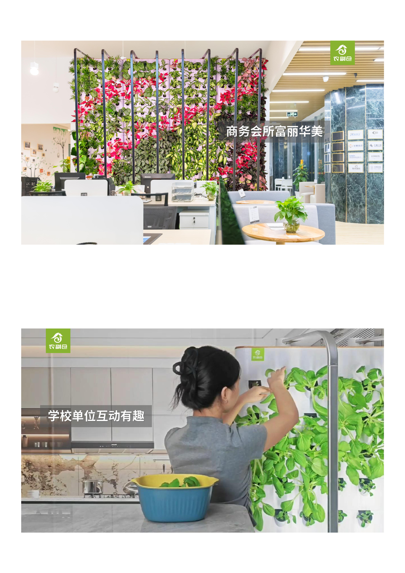 农副仓,无土栽培,室内种植,智能种植