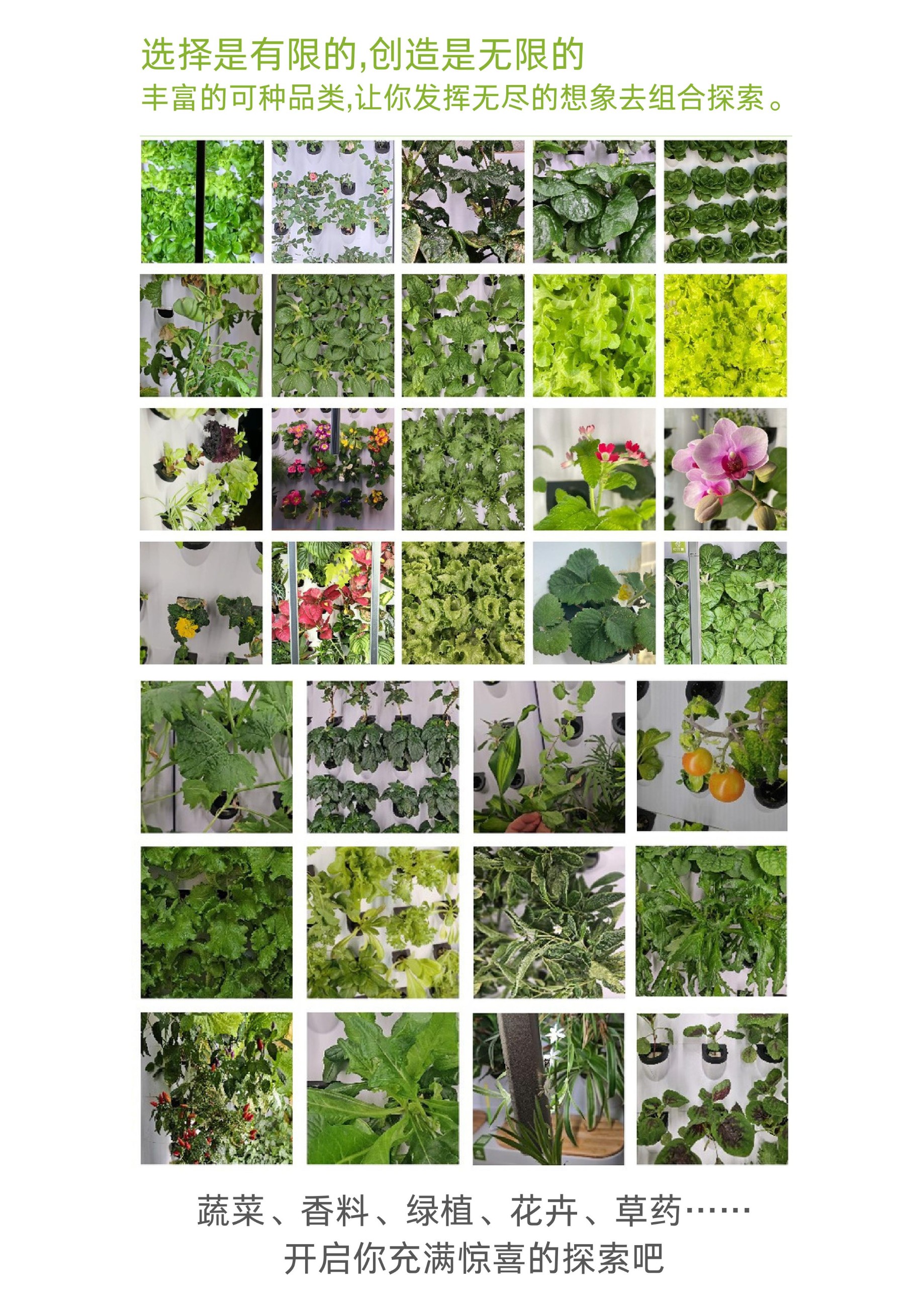 农副仓,无土栽培,室内种植,智能种植