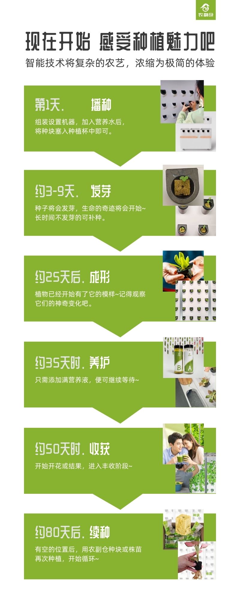 农副仓,无土栽培,室内种植,智能种植