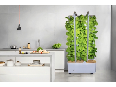 农副仓室内小菜园