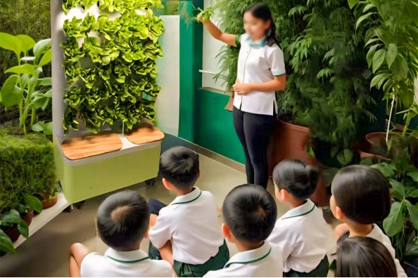 农副仓一人一棵智慧种植课