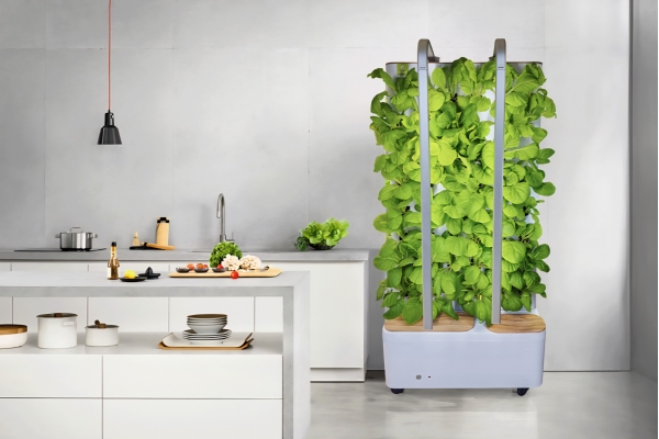 农副仓室内小菜园