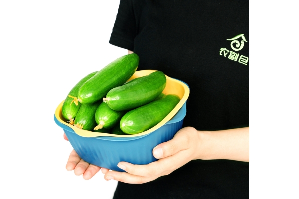 水果黄瓜